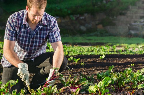Reviewing a landscaping concern with project records