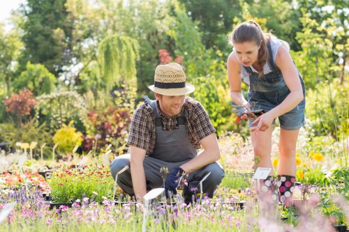 Recycling and waste separation for Peckham landscaping projects