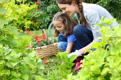 Residential and commercial garden landscaping around Peckham
