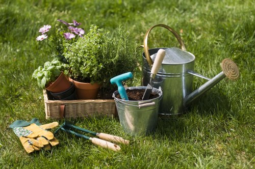 Discussing a garden landscaping issue during assessment