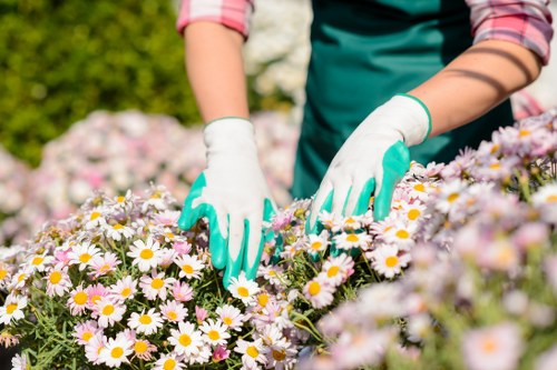 Modern garden materials and finishes for South London properties