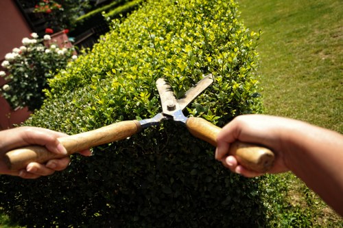 Emergency response procedures during a landscaping worksite incident