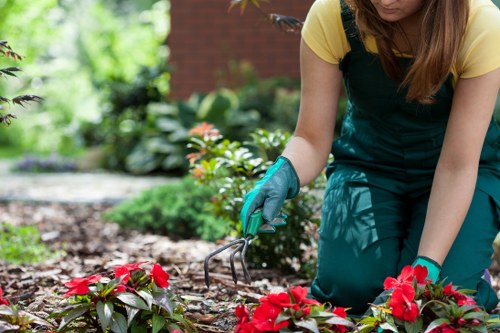 Garden soft landscaping preparation in Peckham with soil improvement and edging