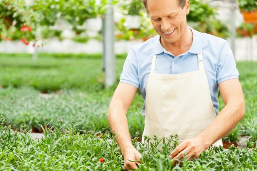 Risk assessment and safety checks on a Peckham landscaping site