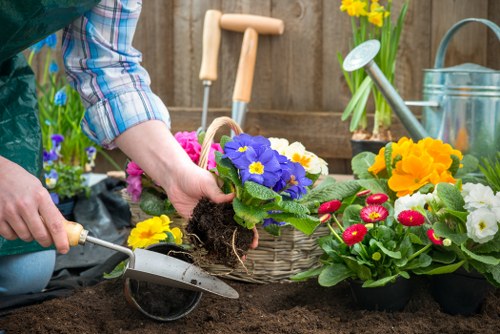 Inclusive accessibility support notice for Peckham landscaping visitors